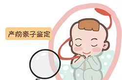 广安胎儿亲子鉴定中心出结果要多久(专家咨询)