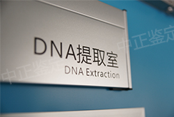 广安个人亲子鉴定怎么做，广安隐私亲子鉴定基本流程